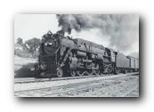 1250 x 833