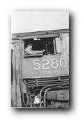 590 x 1000