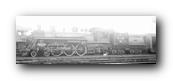 1250 x 429