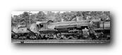1250 x 405