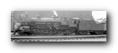 1250 x 406