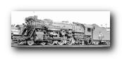 1250 x 451