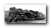 1250 x 565