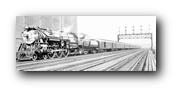 1250 x 490