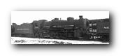 1250 x 423